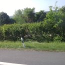 개포3-106 이미지