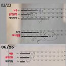 노랑통닭 다대점 | 다대점 비포&amp;에프터 바디프로필 3개월 결과를 소개합니다~!!