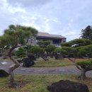 숲 펜션 이미지