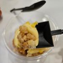 나인파티시에 이미지