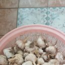 원정2리마을회관 이미지