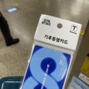 대흥카라이프 | 기후동행카드 vs 케이패스 비교/장단점/ 두달 사용후기 및 케이패스 체크카드 추천