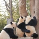 옹기종기 이미지