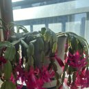 대송면 산여리마을 이미지