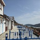 청산도 | 청산도 여행 펜션 후기｜자연 속에서 힐링했던 청산도 숙소 이야기