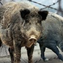 중상경로당 이미지