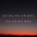 잊지 말아요 (백지영) 이미지