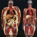 시크릿짐 이미지