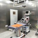 정직 동물병원 | 대구 동물병원 진료 후기 24시 황금동물의료센터 살펴보기