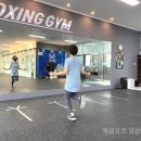 어반복싱짐 이미지