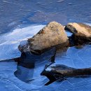 계곡이야기 이미지