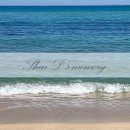 유희농장 | 8월 신디&#39;s daily