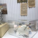 축하 하프케이크🩵 수제케이크 맛집::예쁜케이크&amp;사림동::현대썬앤빌 생화케이크전문꽃집🩵 (후기 주의‼️)