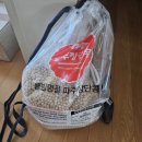 NUC 스마트 요거트 메이커로 집에서 수제 낫또 만드는 방법_파주 장단콩, 낫또 종균 추천