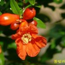 심무물욕 이미지