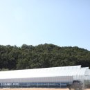 여여하우스 네이버블로그