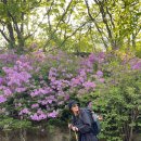 나2 | [소백산 후기] 소문의 낙원을 찾기 전 지치고 힘든 나(2)/소백산연화봉대피소후기