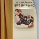 사바비안양주