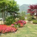 양평삼성 공인중개사사무소 이미지