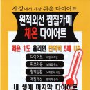 리즈핏점핑체온