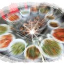 정섭농장 이미지