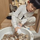 산들반 정하진, 이슬반 정하연 버섯키우기 이미지