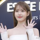 &#39;아이유 표절&#39; 허위 고발인 &#34;아이유에 3000만 원 배상해야&#34; 이미지