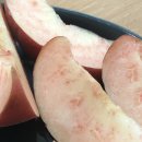 상구농장 이미지