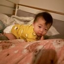 세나어린이집 | 유아식66일째. ★또 아픈 마스, 또 병원★ 어린이집 못감. 설사7번, 해열제 4번. 마스맘 허리통증 오늘...