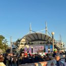 [포항] 포항 토박이가 알려주는 포항구룡포 과메기 축제 방문 후기 2025/11/15-16 천수호 과메기 축제!