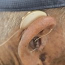 스타키보청기 | 군산보청기 - 80대 아버님 스타키 제네시스 보청기 착용 후기 👂✨