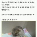 깁스 이미지