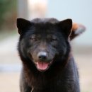 태산농장 2 이미지