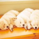 박경훈한의원 이미지