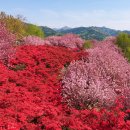 완산공원(아래) 이미지