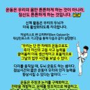 주안멘토태권도장 이미지