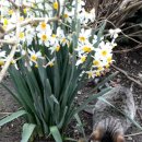 석남체육공원 이미지