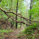 용담면사무소 이미지