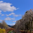 영산 만년교 이미지