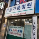 청아동물병원 이미지
