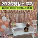 첨단기업5로1R-3 | 대한민국 펫캉스 후기 구미코에서 아이들과 꼭 다시 오고 싶은 반려동물 축제
