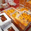 안영셀프주유소 이미지