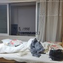 만촌2차우방타운 Daum카페