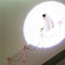 수원-0329 이미지