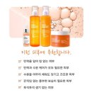스콜라스킨케어 | (비바스)바이옴 콜라겐 스킨케어 피부탄력 주름개선 미백 앰플토너 로션 바르는유산균