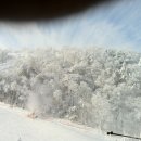 알펜시아 스키 & 스노우보드 이미지