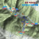 복수초(福壽草) 세계최대 군락지 (칠곡 가산산성) ... 이미지