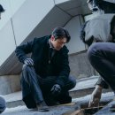 레이디본 이미지