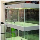 꿈의숲동물병원 이미지