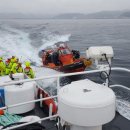 동해-단속-29 이미지